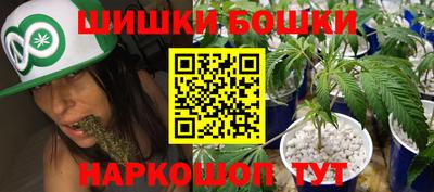 spice Кудымкар
