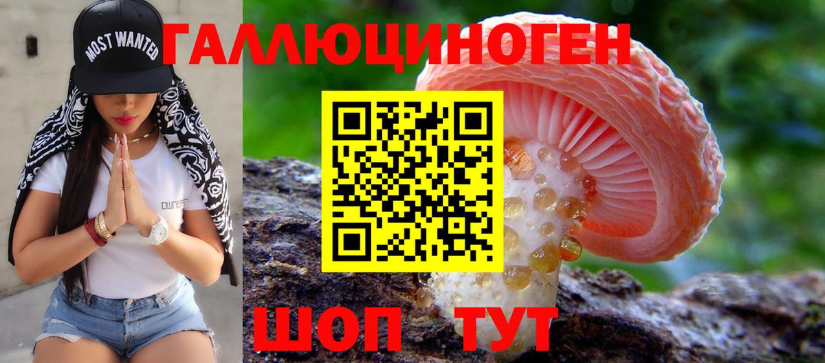 Красный Сулин  Псилоцибиновые грибы Psilocybe  Вход с VPN 